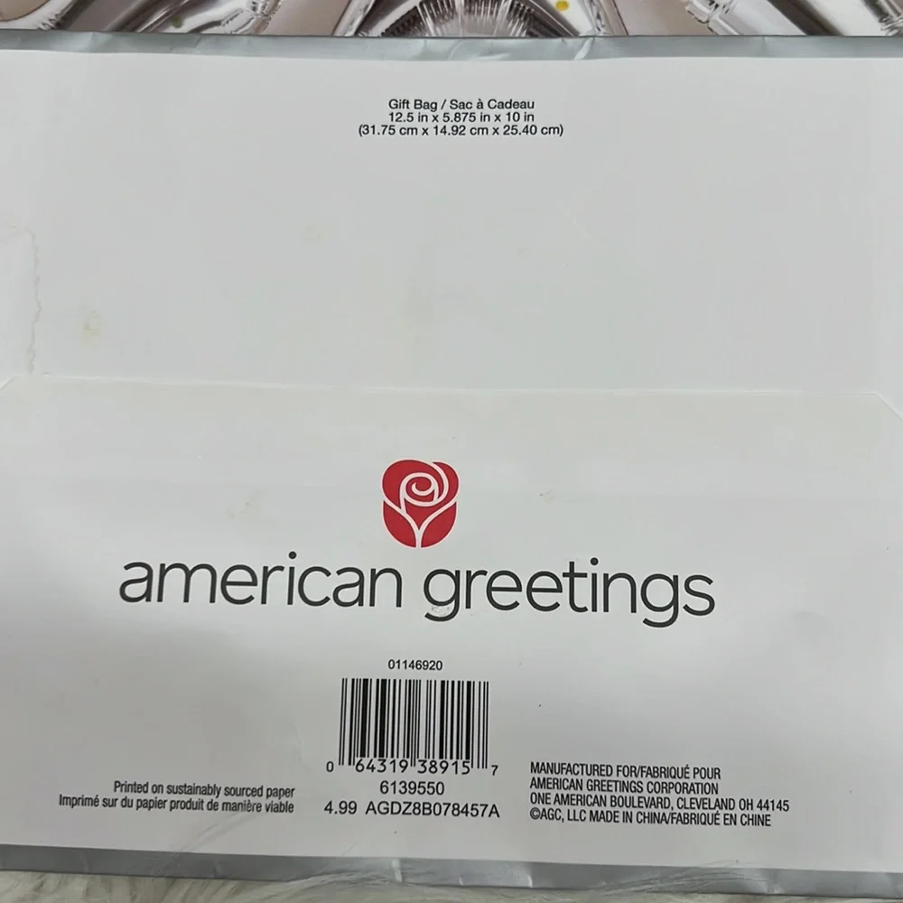 AMERICAN GREETINGS Gift Bag that says YAY